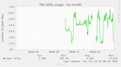 File table usage
