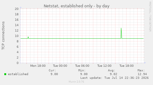 Netstat, established only